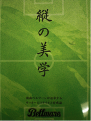 縦の美学 湘南ベルマーレ 最上段 ユース 広島城北