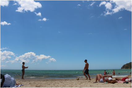 説明: C:\Users\akirakamikou\Pictures\2016.11.04 Noosa\IMG_2516.JPG