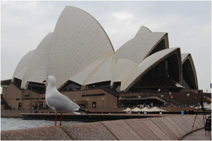 説明: C:\Users\akirakamikou\Pictures\2016.12.06 Sydney\IMG_3278.JPG