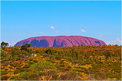 説明: C:\Users\akirakamikou\Pictures\2016.12.08 Uluru\IMG_3366.JPG