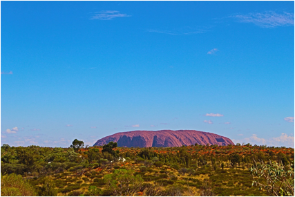 説明: C:\Users\akirakamikou\Pictures\2016.12.08 Uluru\IMG_3365.JPG