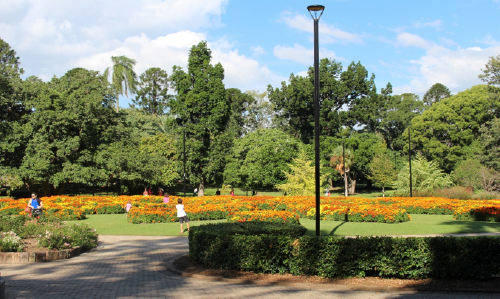 説明: C:\Users\akirakamikou\Pictures\2016.04.17\IMG_9568.JPG